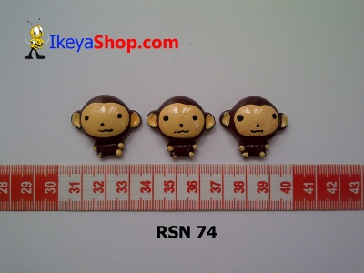 rsn 74  large2